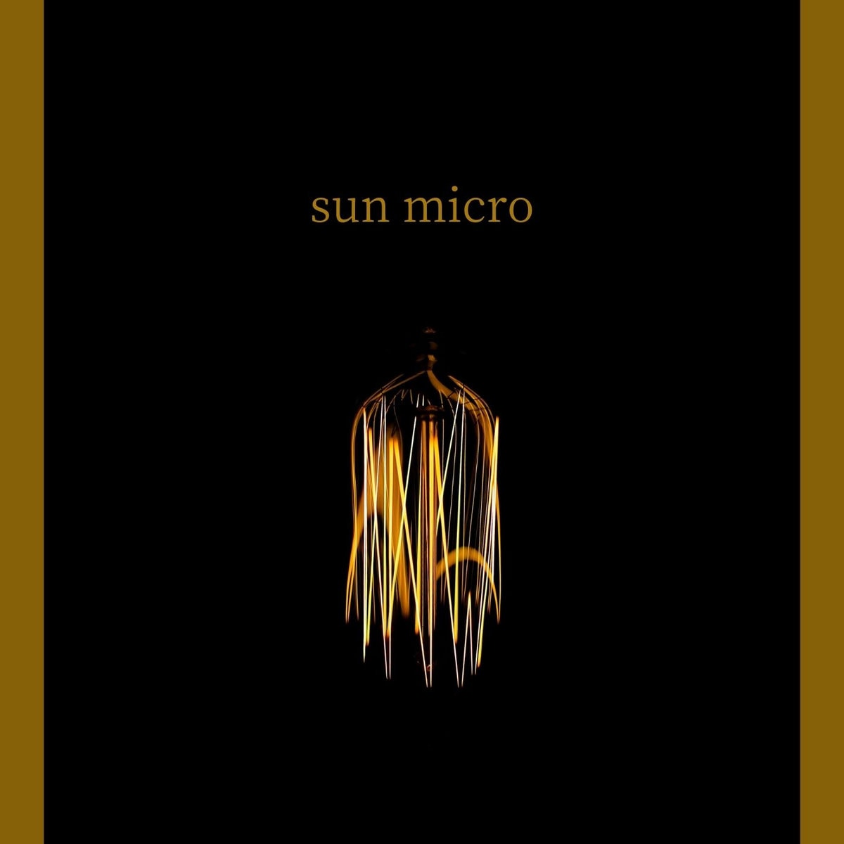 sun micro